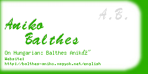 aniko balthes business card